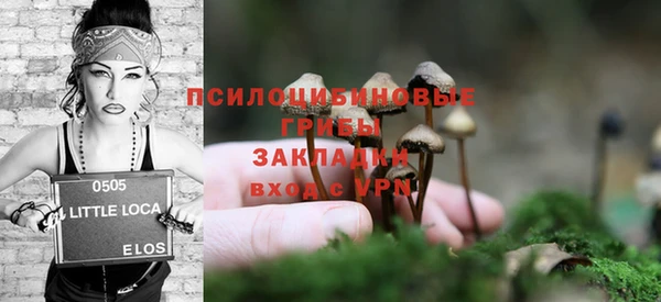 МДМА Елизово