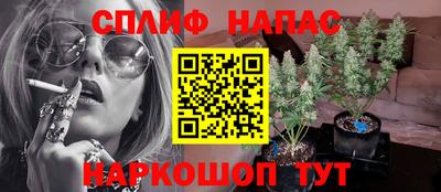 apvp Дубна