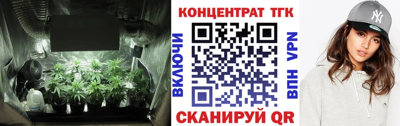 где купить   Котельники  ТГК THC oil 