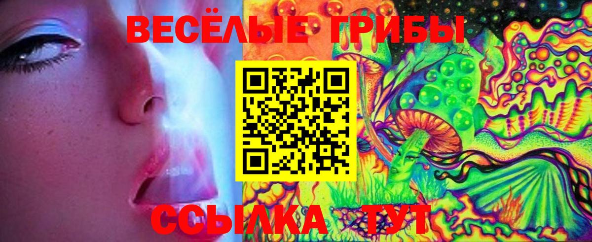 Псилоцибиновые грибы мицелий Котельники